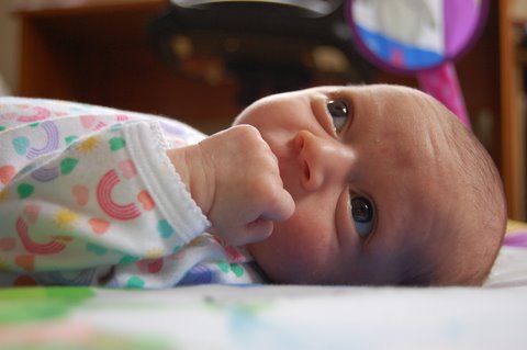 Why is there a stuffed ladybug hanging over my head?