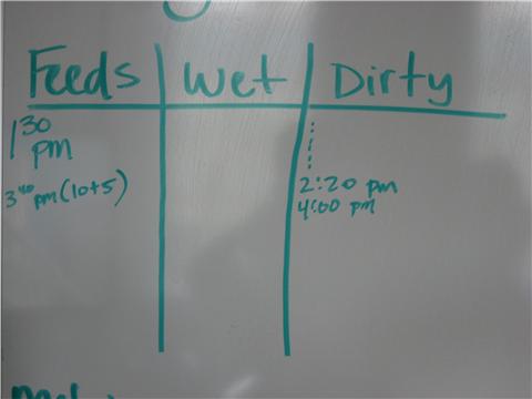 Feed / Wet / Dirty