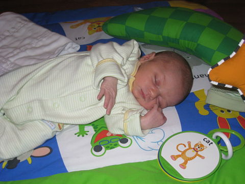 Haning in My “Activity” Gym