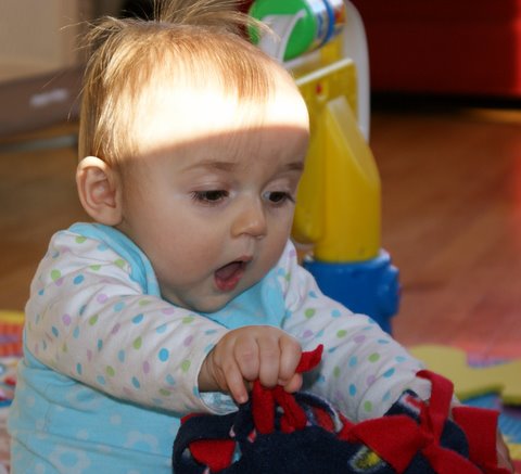 I love anything I can pull apart…