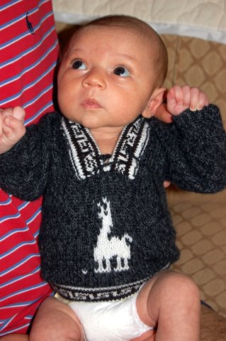 You’re jealous of my alpaca sweater, aren’t you?