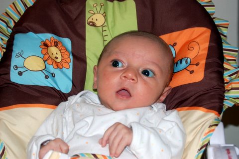 Is that supposed to be a lion?  Give me a break.