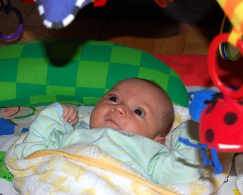 That singing shining star thing is kind of cool…