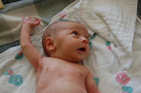 Oh, I know the answer!