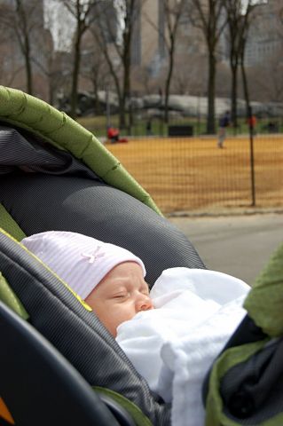 I had a dream I was watching a baseball game…