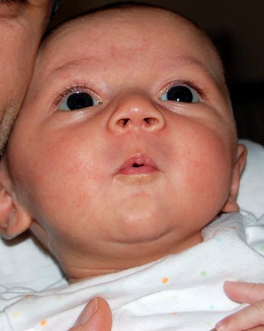 Learning how to whistle…