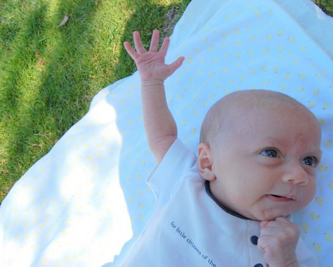 Why reach for the sky when the grass is so much closer?