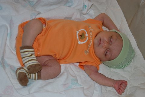 Now that’s comfy…