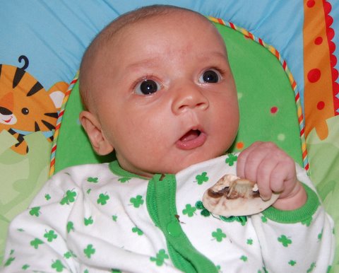 Yummmmm - MUSHROOMS!