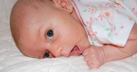 Can someone get me an edible blanket?