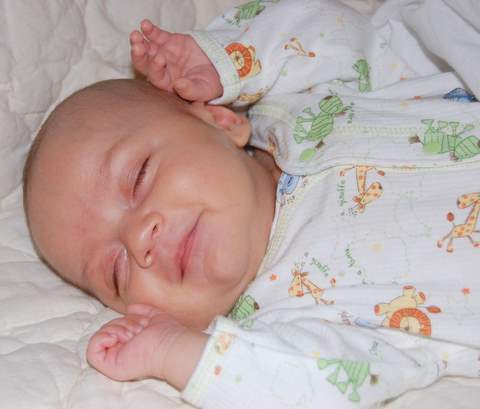 I had a funny dream about antlers