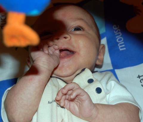 A blue duck with orange feet?  Hahahahahahaha!!!