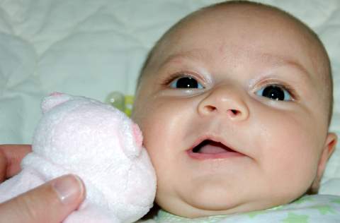 Hey, look at the pink hippo kissing me, not at my double chin!