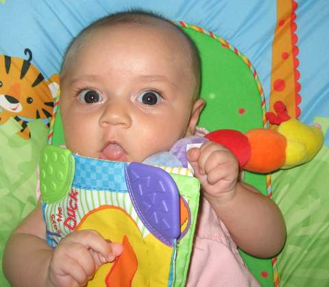 That’s a yummy book!