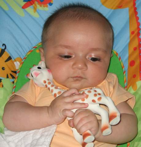 What … an … interesting … giraffe…thanks, Tamara!