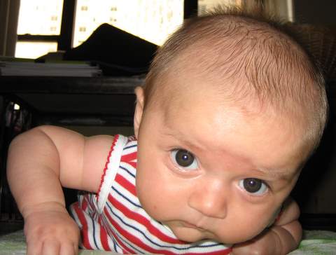 Technically, my left arm is bearing weight; milestone achieved!