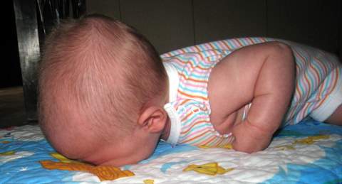 I had just lifted it, really!