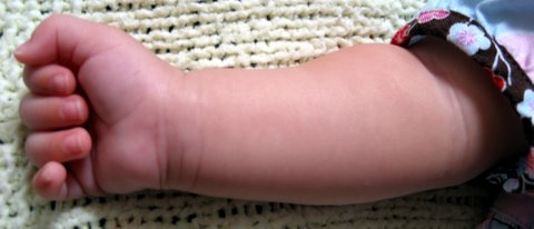 My arms are almost as fat as my legs!