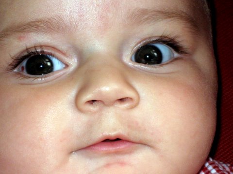 Um, that’s a bit too close!