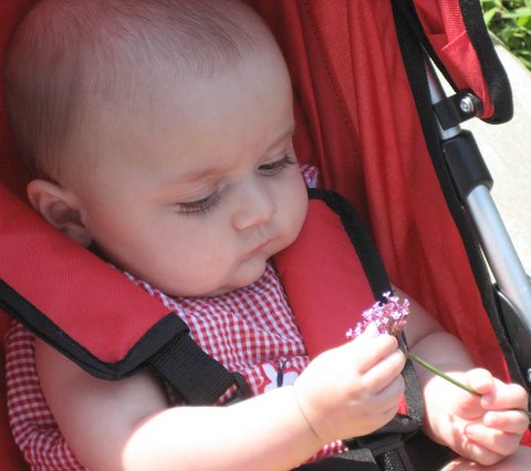 Learning about flowers from my master-gardener-Grandma!