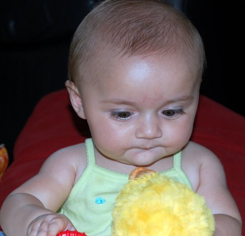 This duck is my new favorite toy!