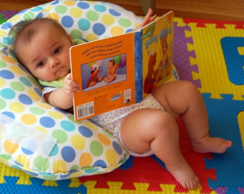 Elmo’s allegorical interpretation is so boring.