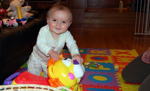 My very first time standing up!  Thanks, Lion!