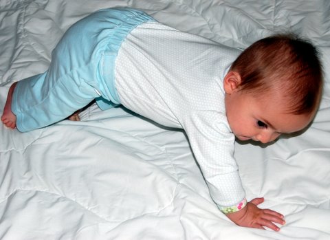 You can do a one-arm push-up, too, right?