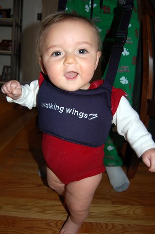 Don’t be fooled, these wings are for Dad’s benefit, not mine…