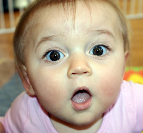 I want to eat the camera!