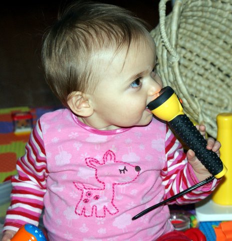 My new favorite “toy”!