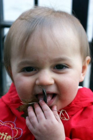 Dirt’s now part of my regular diet…