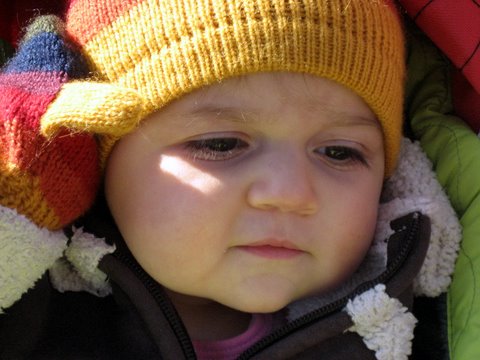 Spring, where did you go?