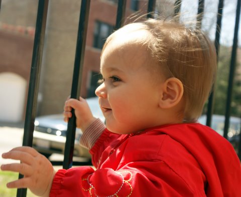 I can see doggies from our yard…