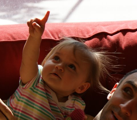 I never noticed the ceiling fan before!