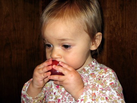 Plums: Breakfast of champion pre-schoolers.