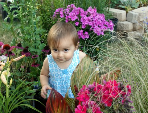 It’s a jungle out there.