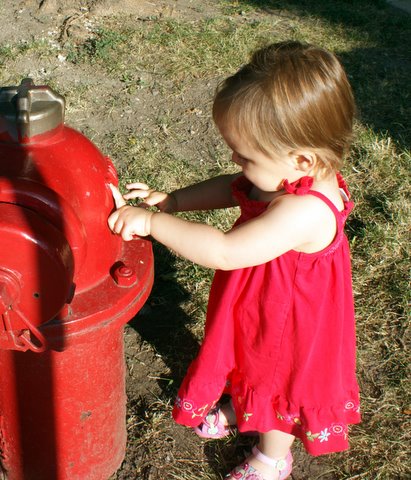 Elmo has a fire hydrant and I do, too!