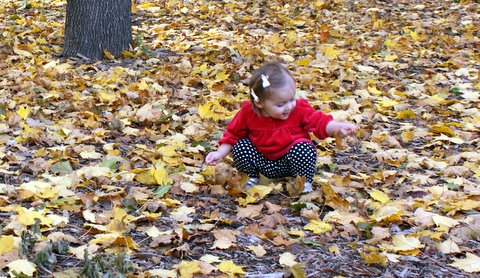 Playing in the leaves