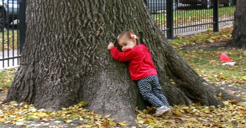 Tree hugger!