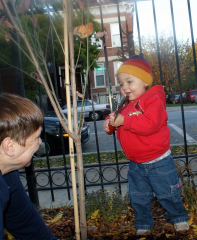 Helping Grandma plant bulbs