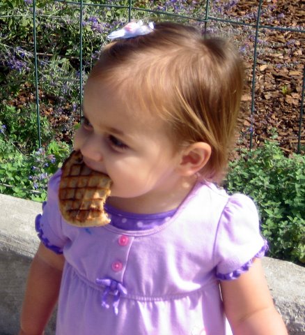 This waffle was supposed to be for the pigeons!