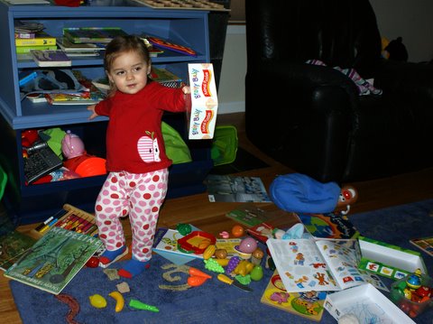 You thought my shelves would make me neater?