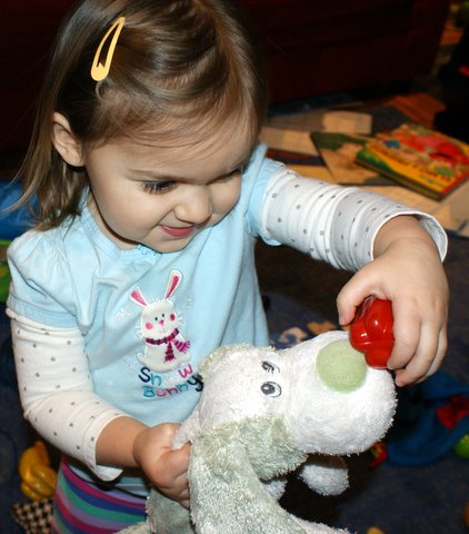 Feeding Puppy a healthy snack