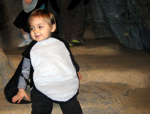 A little too cute...