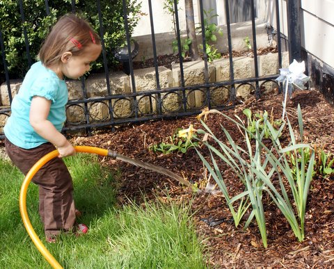 Getting my own green thumb!